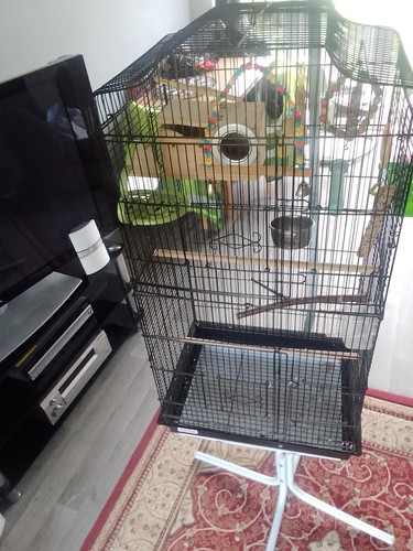 Bird cage with - stand, 5ft