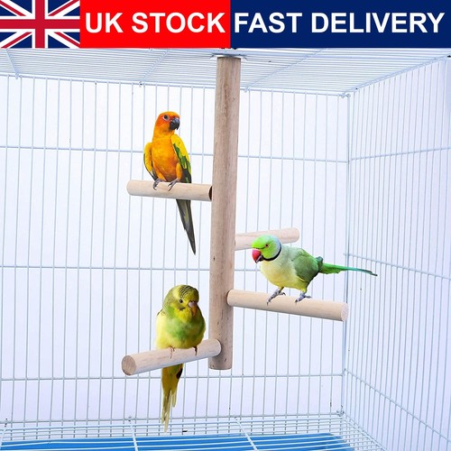 Lanfly budgie parrot perch - parrot,