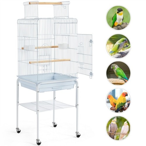 Small birds cage play - birds,