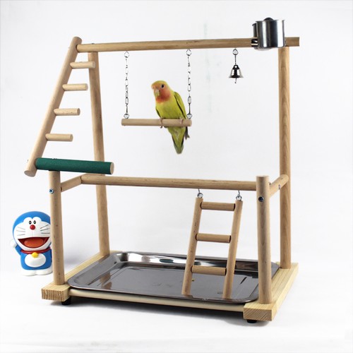 Bird stand - bird,