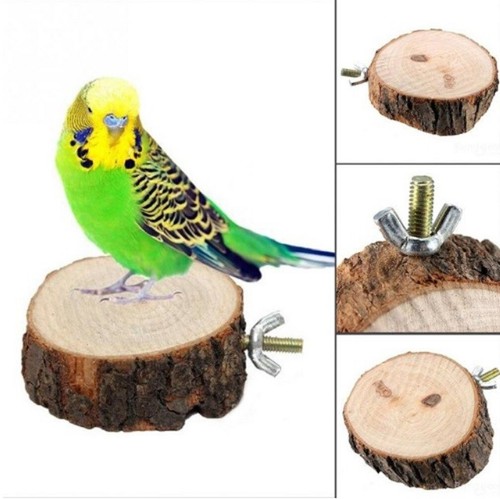 Wooden round parrot bird - round,