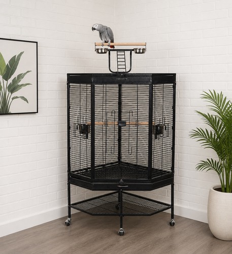 Alaska corner parrot - parrot, cage