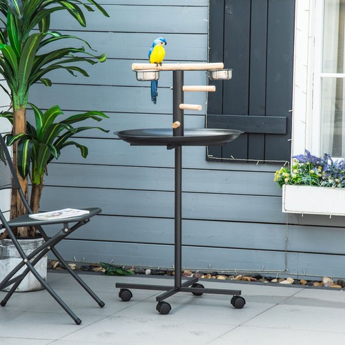 Bird play stand portable - play,