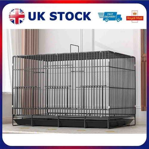 Large budgie cage - cage, parrot