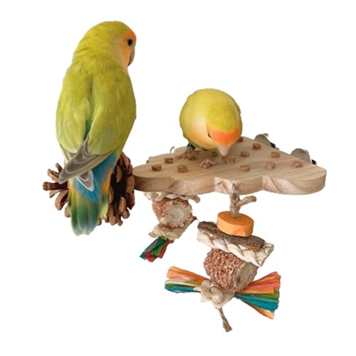 Wooden parrot bird - wooden,