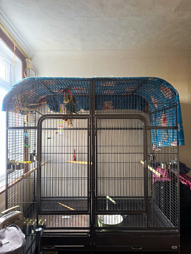 Liberta endeavor metal - metal, bird