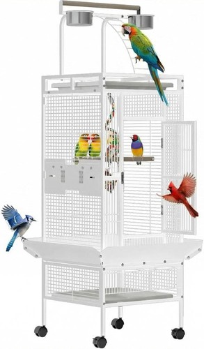 Inch iron bird cage with - 60,