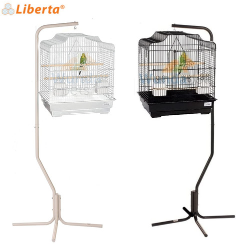 Liberta siam budgie canary - siam,