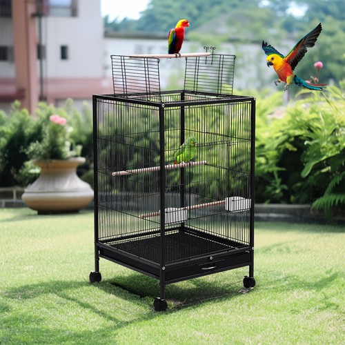 Metal bird cage for budgie - bird,