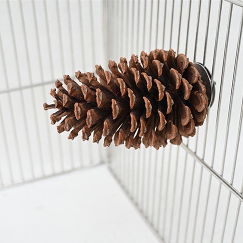Pinecone bird perch - pinecone,
