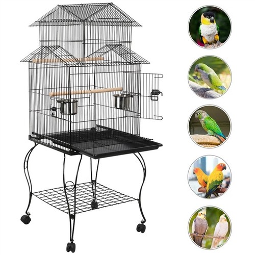 Metal bird cage roof top - bird,