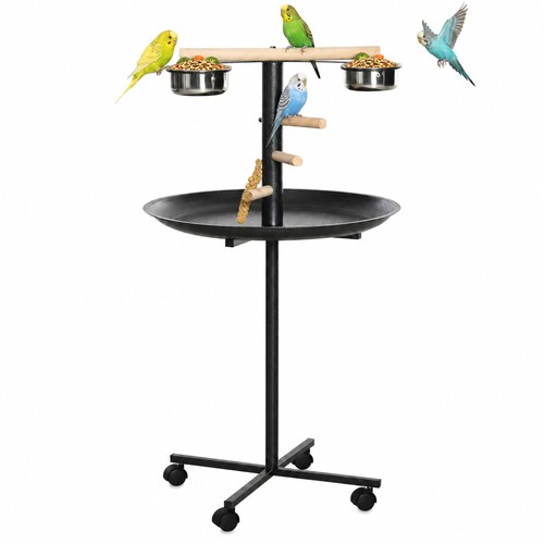 Parrot perch stand - perch, bird
