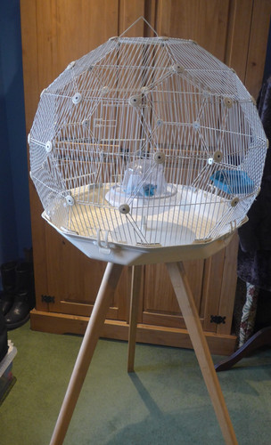 Large omlet geo bird - geo, with