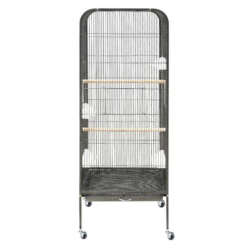 Large bird cage parrot - bird,