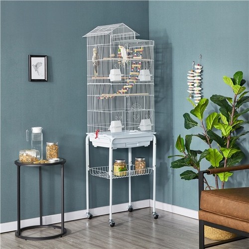 Parrot cage bird - bird, metal