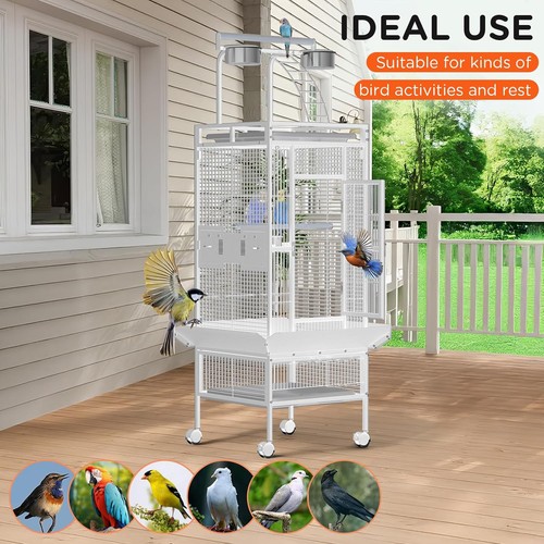 Large bird cage - bird,