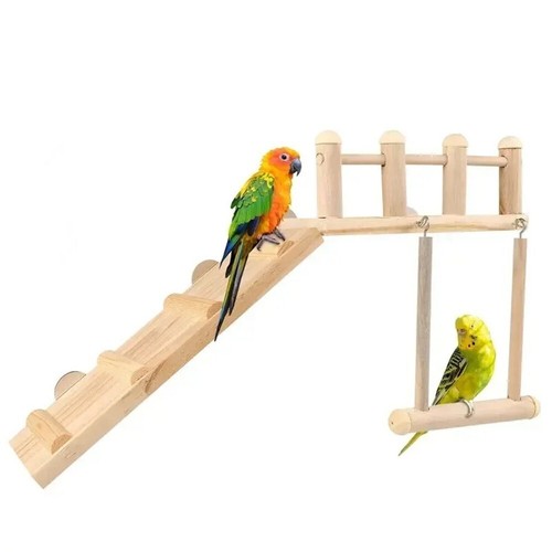 Bird cage cockatiel parrot - bird,