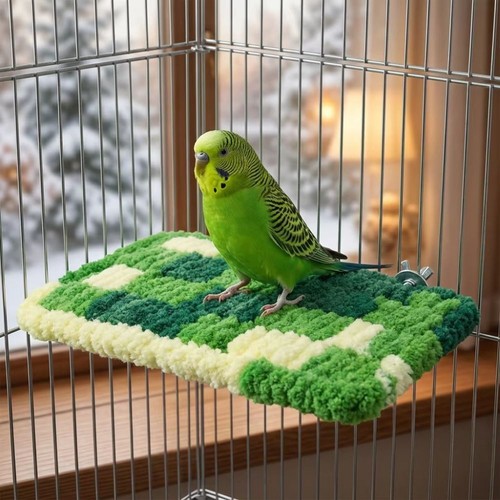 Bird cage platform warm - cage,