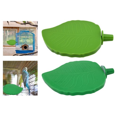 Bird perch stand - perch,
