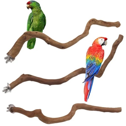 Parrot stand natural - stand, bird