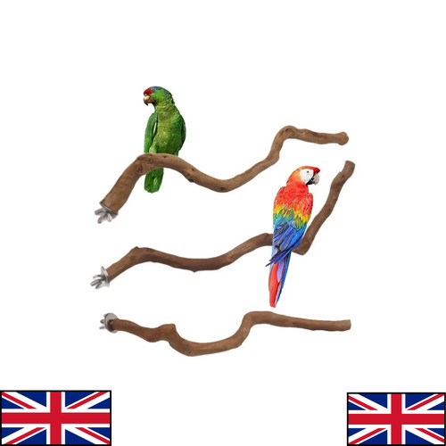 Parrot stand natural bird - stand,