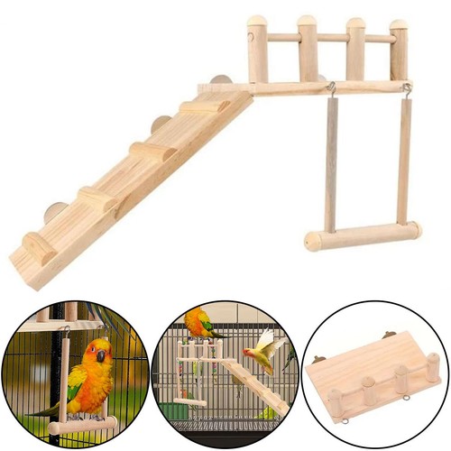 Pet cockatiel parrot - pet, cage