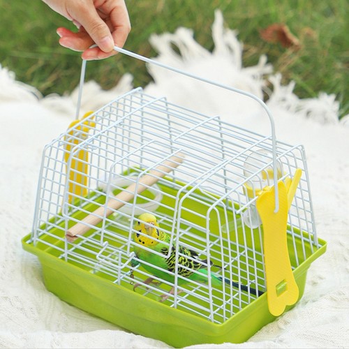 Bird cage birdcage - bird, outdoor