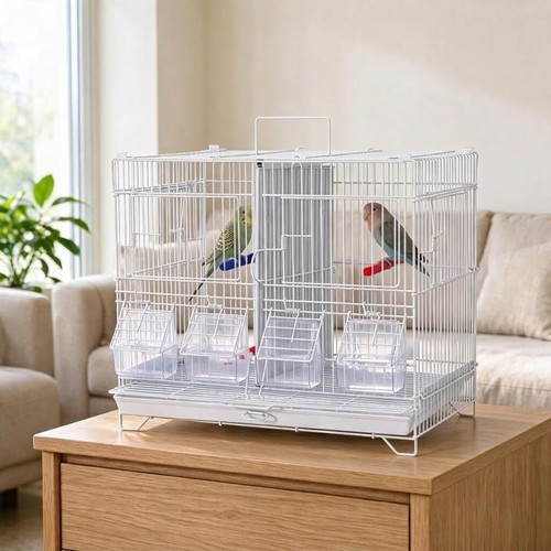 Bird cage budgie - budgie, with