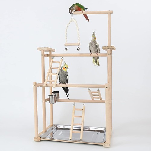 Bird perch stand - bird, toy,