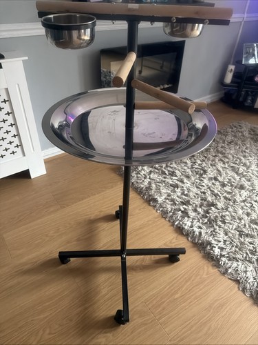 Parrot stand - parrot,
