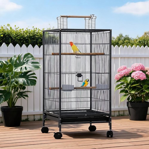 40in bird cage open - cage, w/
