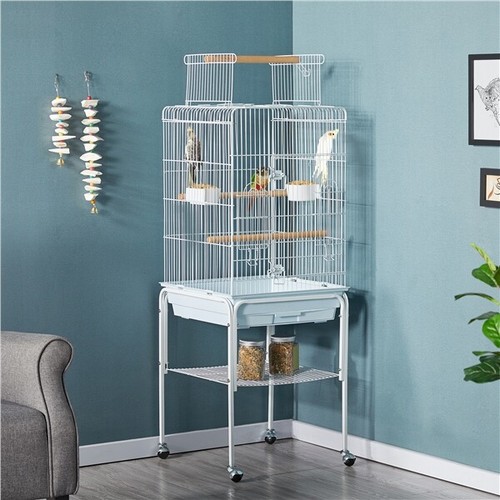 Bird cage open - bird, budgie