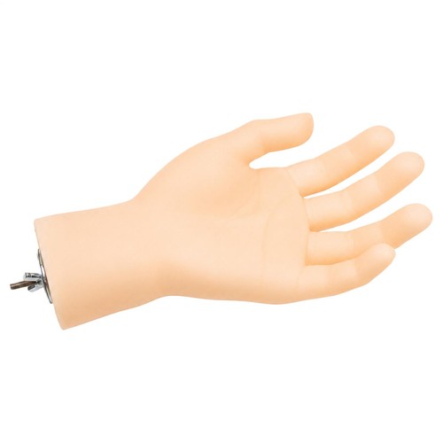Realistic hand shape - realistic,