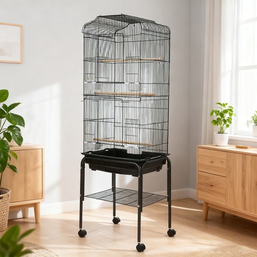 Extra large bird - uk, with