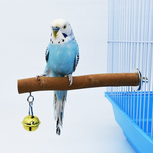Reusable wooden bird - reusable, perch