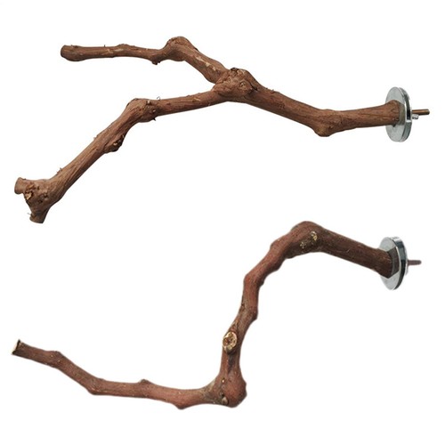 Natural grape wood bird perch - grape,