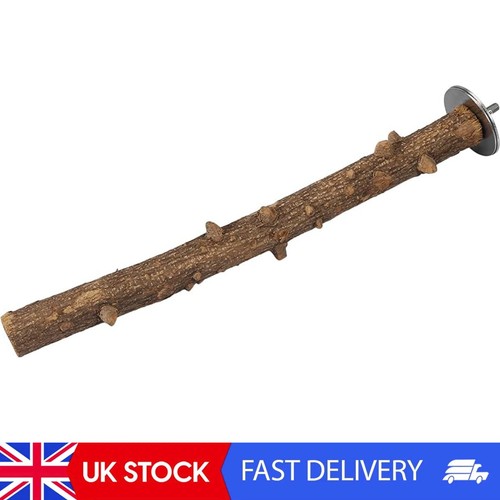 Natural wood bird - natural,
