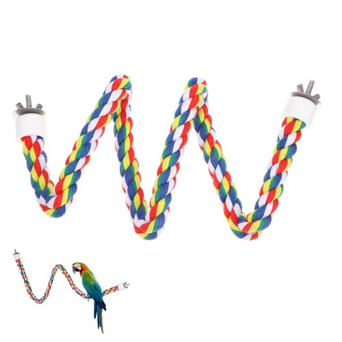 Colorful bird perch for - colorful,