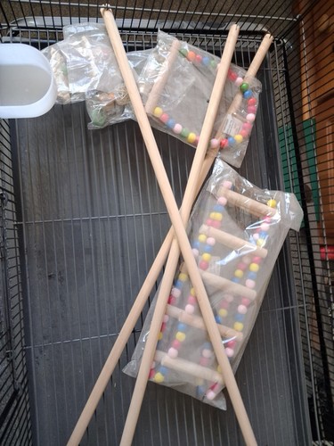 Large bird cage stand with - bird,