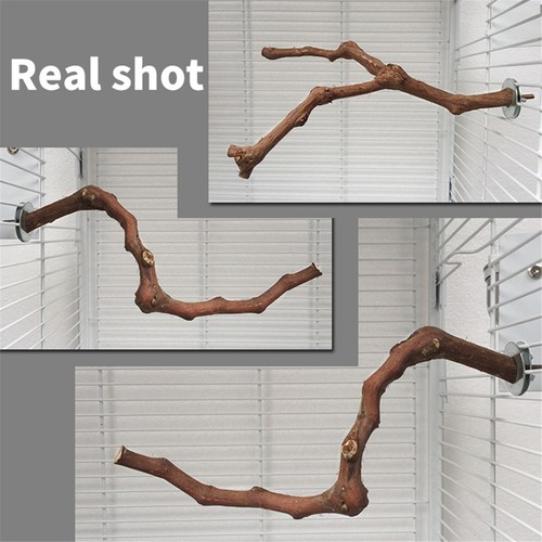 Bird perch stand natural grape - bird,