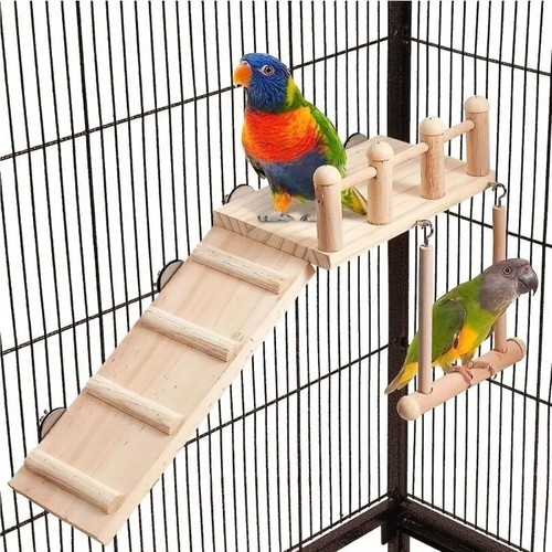 Pet budgie hanging toy - budgie,