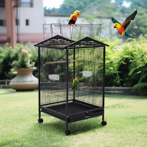 Large rolling parrot - parrot, cage
