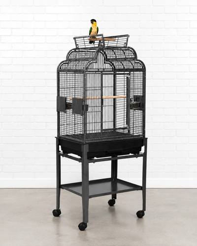 Large parrot cage play - play, top