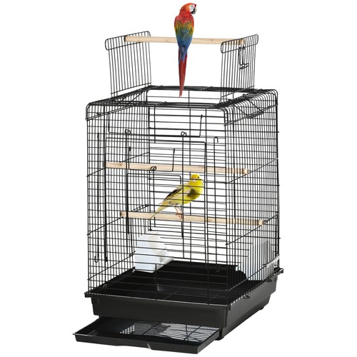 Bird cage with - bird,