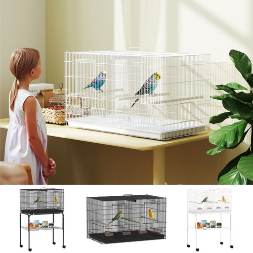 Bird cage parrot with - bird,