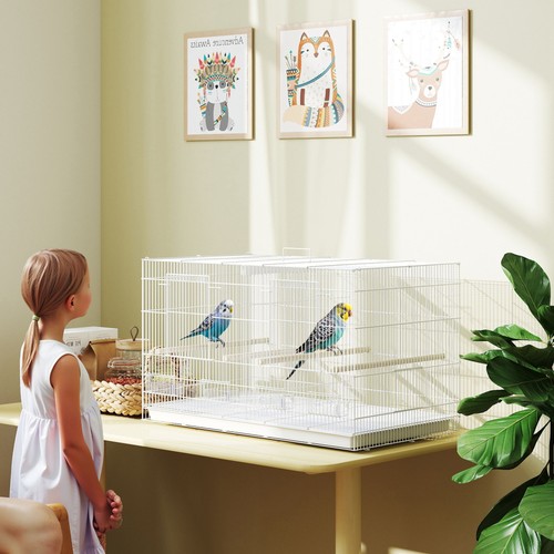 Bird cage parrot - bird,