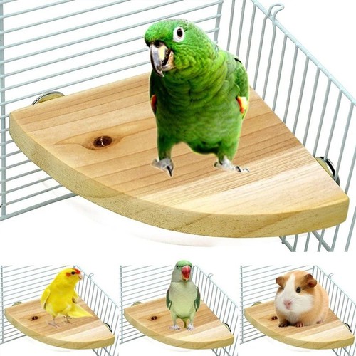 Bird small pet wooden - &,