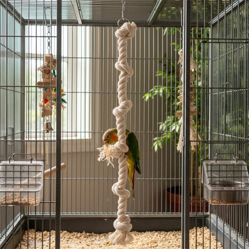 Parrot climbing cotton - climbing,