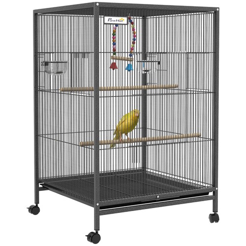 Bird cage budgie - bird, with