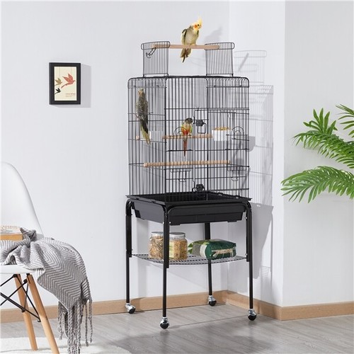 Bird cage open play top - top, parrot